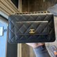 Authentic Chanel 2024 Twin Pocket WOC Mini Black Caviar Gold Hardware Microchip